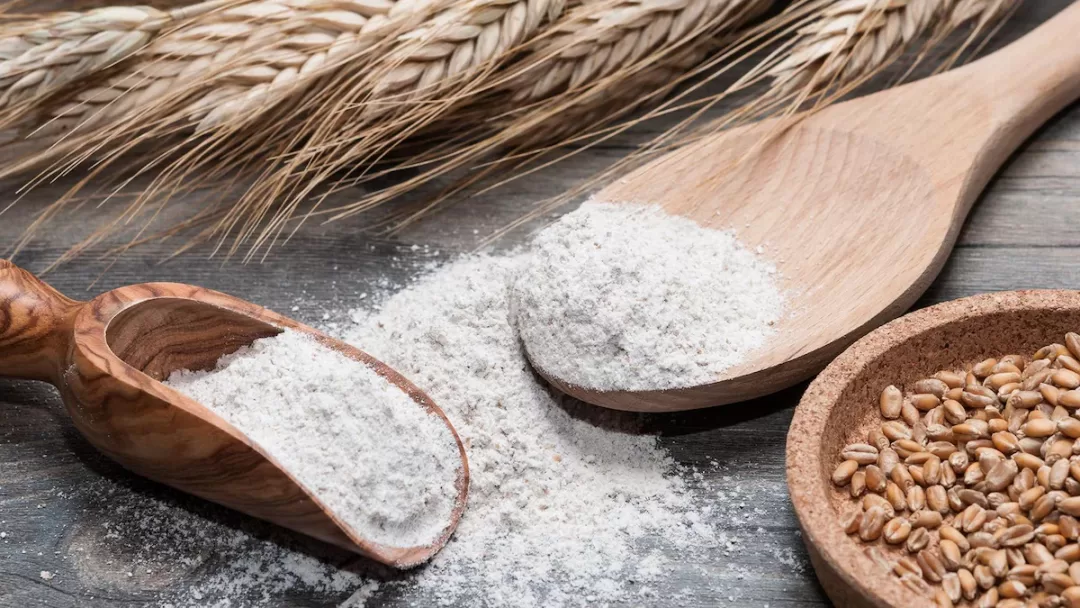 Grains de blé, farine blanche dans une cuillère en bois et une pelle sur une table en bois et épis de blé posés en arrière-plan