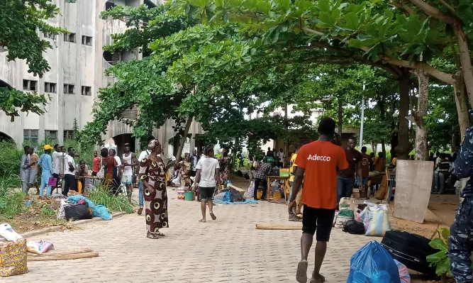 Personnes rassemblées sous des arbres avec des sacs et affaires éparpillés sur un chemin en pavés