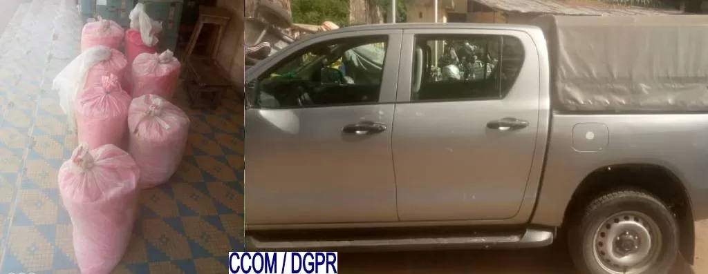 Plusieurs sacs en toile rose à gauche et une voiture pick-up grise avec une bâche noire à droite