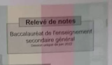 Relevé de notes du baccalauréat de l'enseignement secondaire général session unique de juin 2023 sur fond tricolore flou