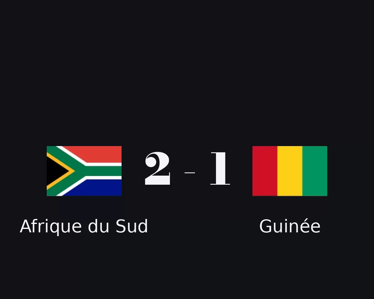 Afrique du Sud contre Guinée