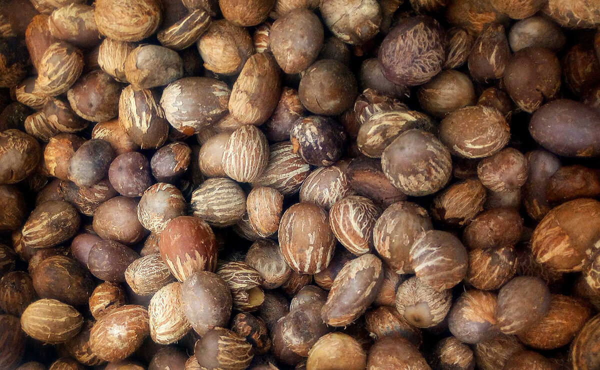 Amandes de karité entières assemblées en gros plan avec des variations de teintes brunes et textures rugueuses
