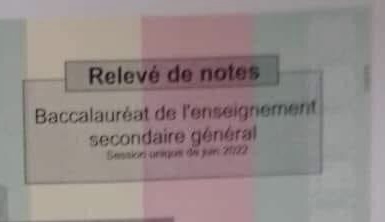 Relevé de notes du baccalauréat de l'enseignement secondaire général session unique de juin 2023 sur fond tricolore flou